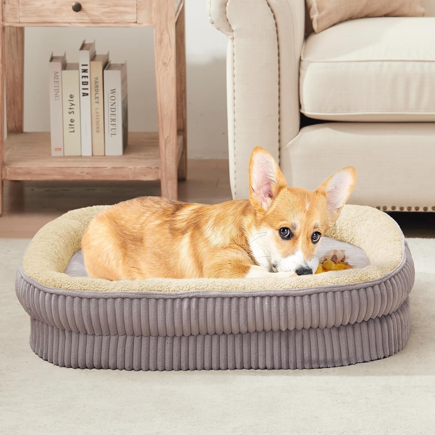 Orthopedic Dog Bed for Medium Dogs – Egg Crate Foam with Bolsters, Washable & Non-Slip - Image 8
