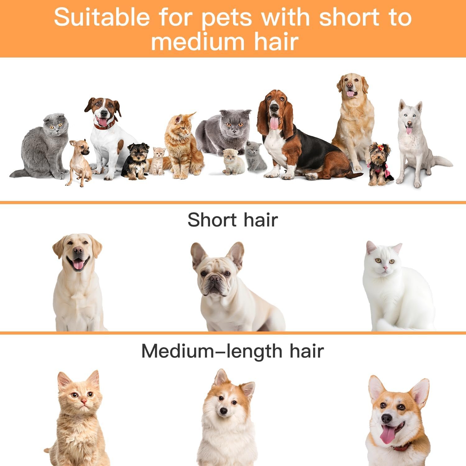 AIRROBO Dog Grooming Vacuum Kit PG100 – 12000Pa Powerful Pet Hair Vacuum, Low Noise, 2L Large Capacity - Image 10