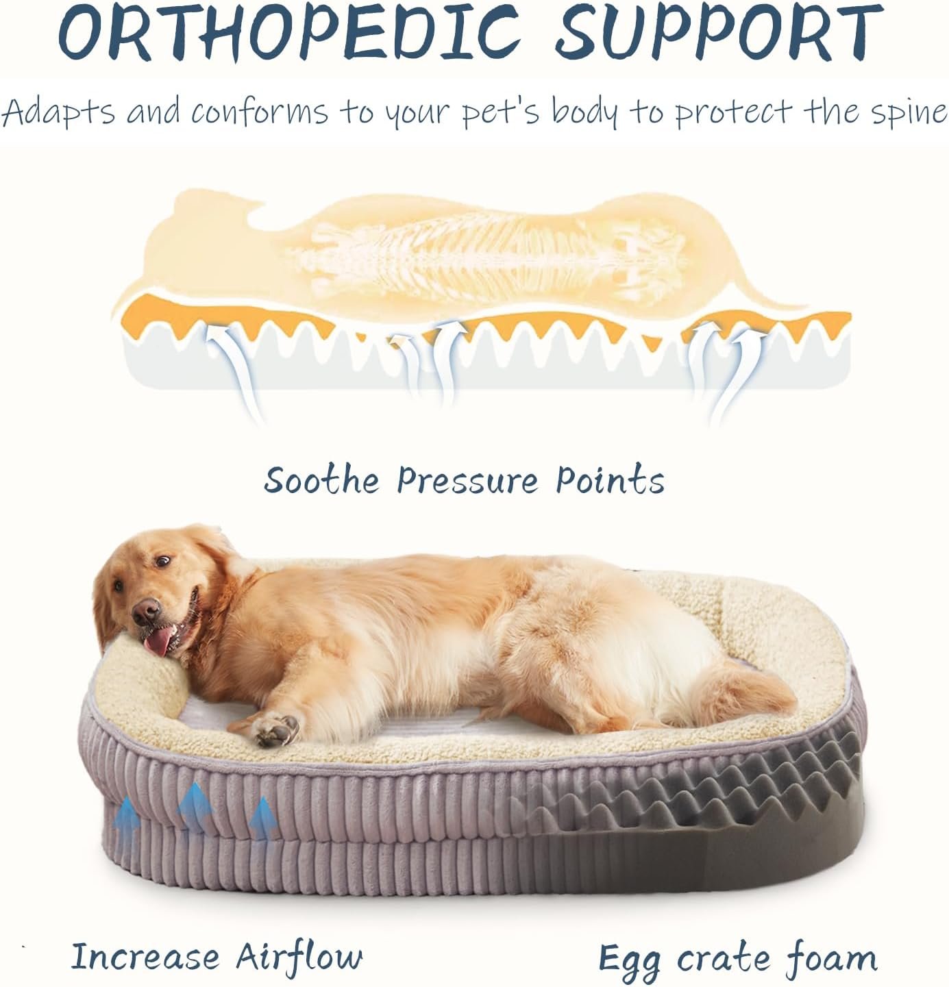 Orthopedic Dog Bed for Medium Dogs – Egg Crate Foam with Bolsters, Washable & Non-Slip - Image 2