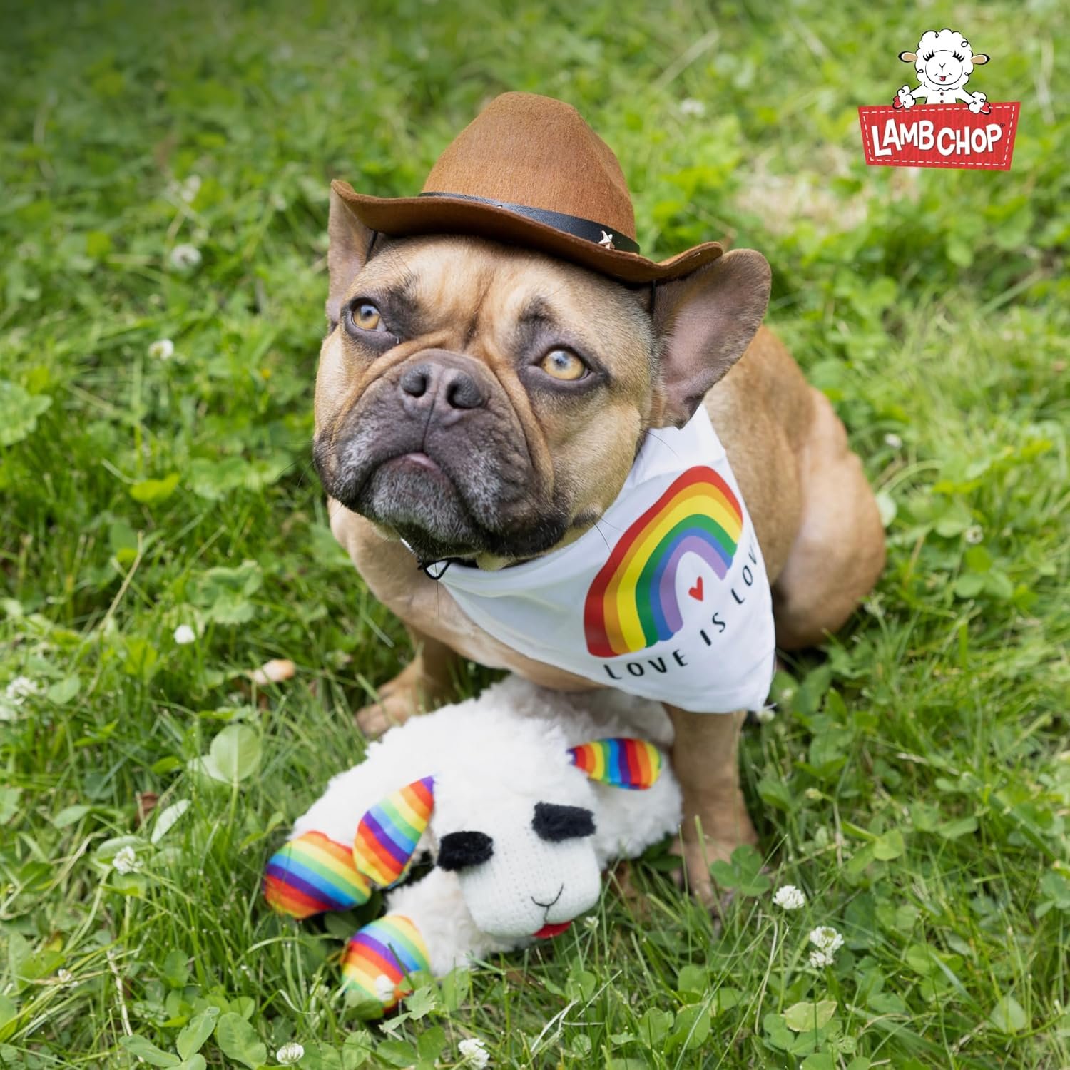 Multipet Mini Lamb Chop: Officially Licensed Plush Toy - Image 9