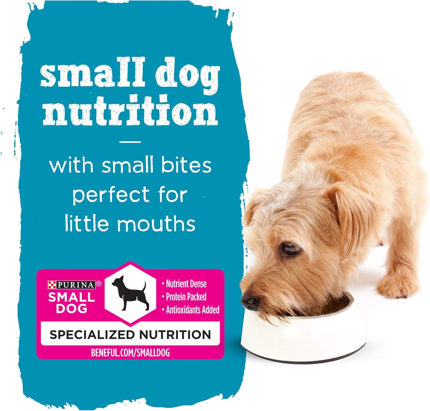 Purina Beneful Small Breed Wet Dog Food Variety Pack - Image 10