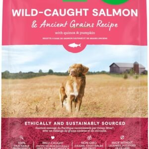 Open Farm Ancient Grains Wild-Caught Salmon Dry Dog Food – 22lb