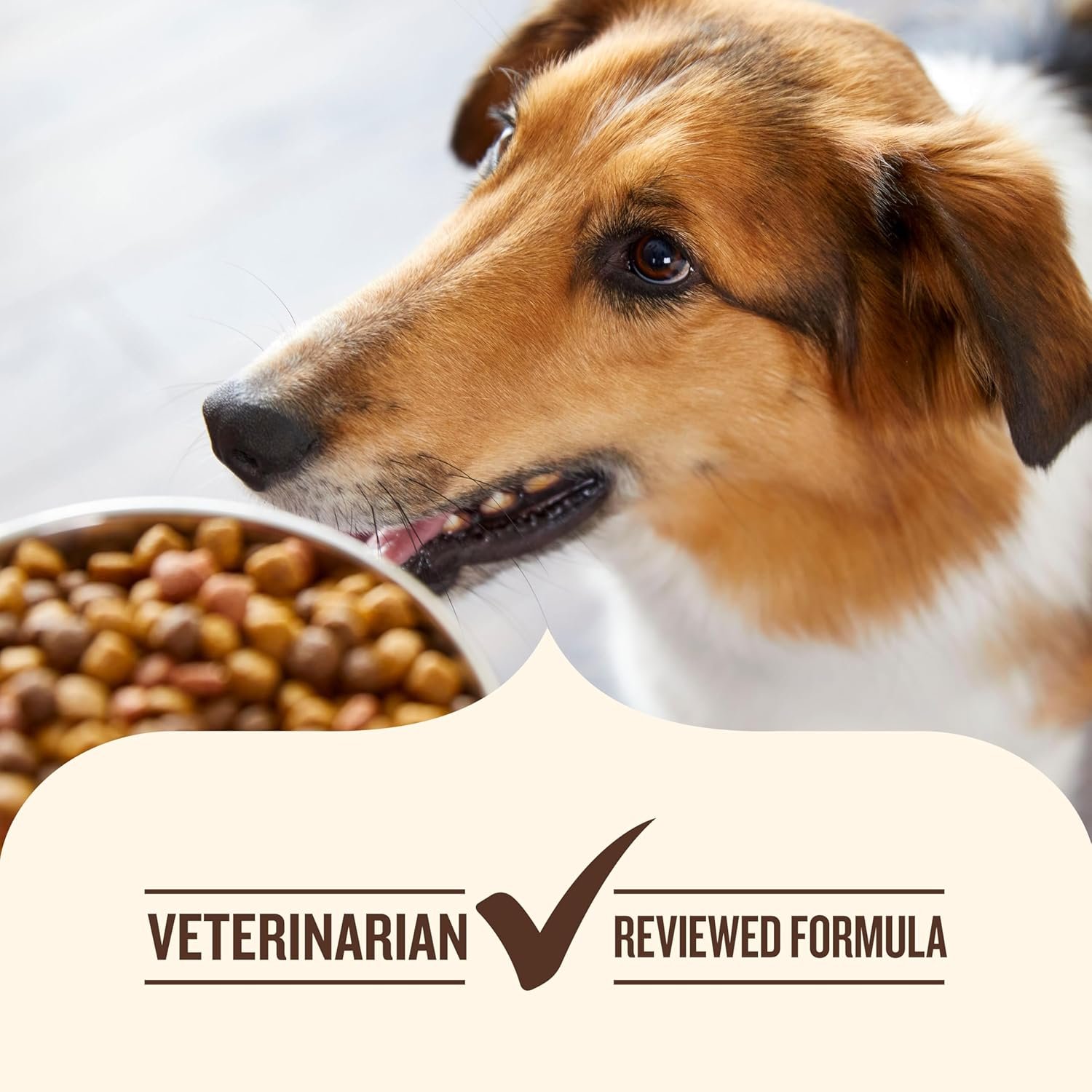 Rachael Ray Nutrish Little Bites Small Breed Dry Dog Food – Real Chicken & Veggies, 6 lb - Image 7