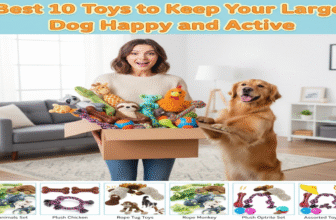 Best 10 Toys to Keep Your Large Dog Happy and Active