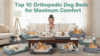 Top 10 Orthopedic Dog Beds for Maximum Comfort
