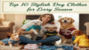 Top 10 Stylish Dog Clothes for Every Season