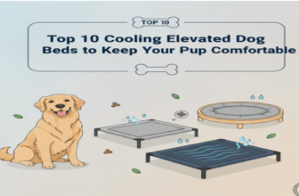Top Cooling Elevated Dog Beds to Keep Your Pup Comfortable