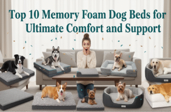 Top 10 Memory Foam Dog Beds for Ultimate Comfort and Support