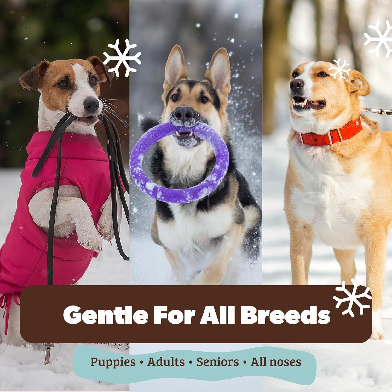 DOUXO S3 PYO Combo Set – Shampoo (6.7 oz) Review - Image 7