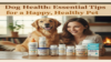 Dog Health: Essential Tips for a Happy, Healthy Pet