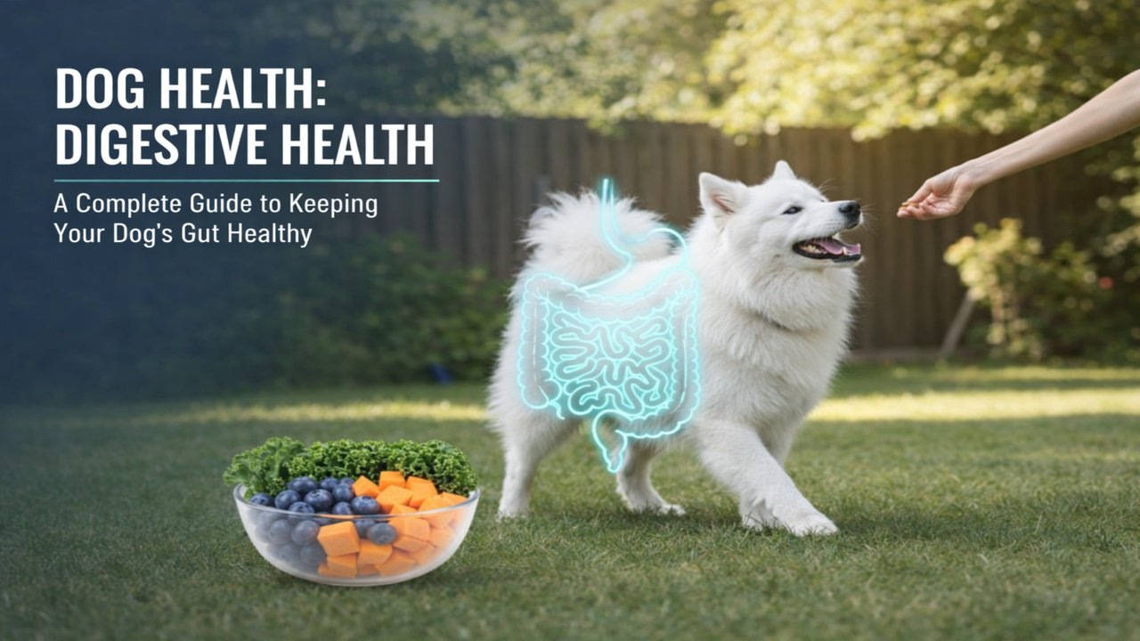 Dog Health: Digestive Health – A Complete Guide to Keeping Your Dog’s Gut Healthy Dog Health: Digestive Health – A Complete Guide to Keeping Your Dog’s Gut Healthy
