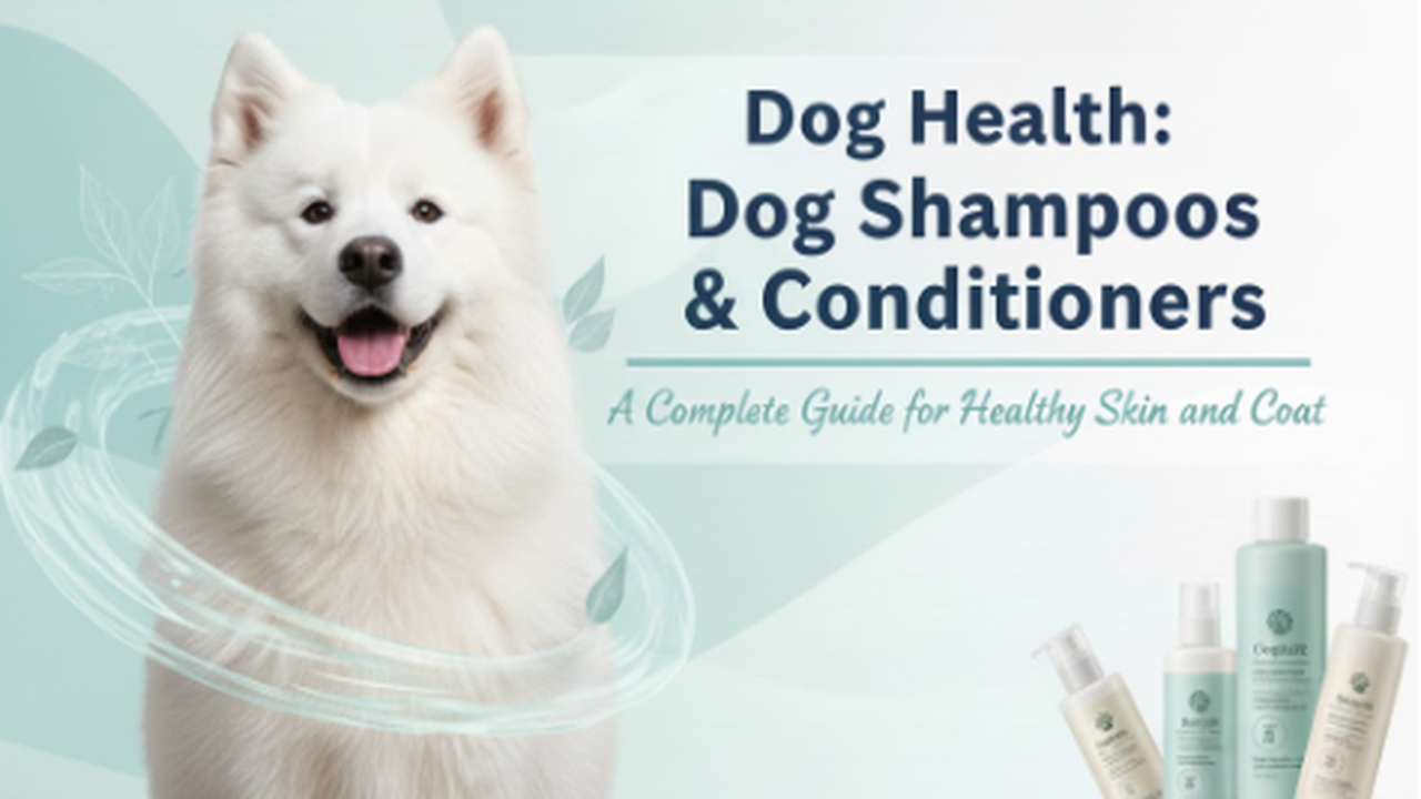 Dog Health: Dog Shampoos & Conditioners – A Complete Guide for Healthy Skin and Coat Dog Health: Dog Shampoos & Conditioners – A Complete Guide for Healthy Skin and Coat