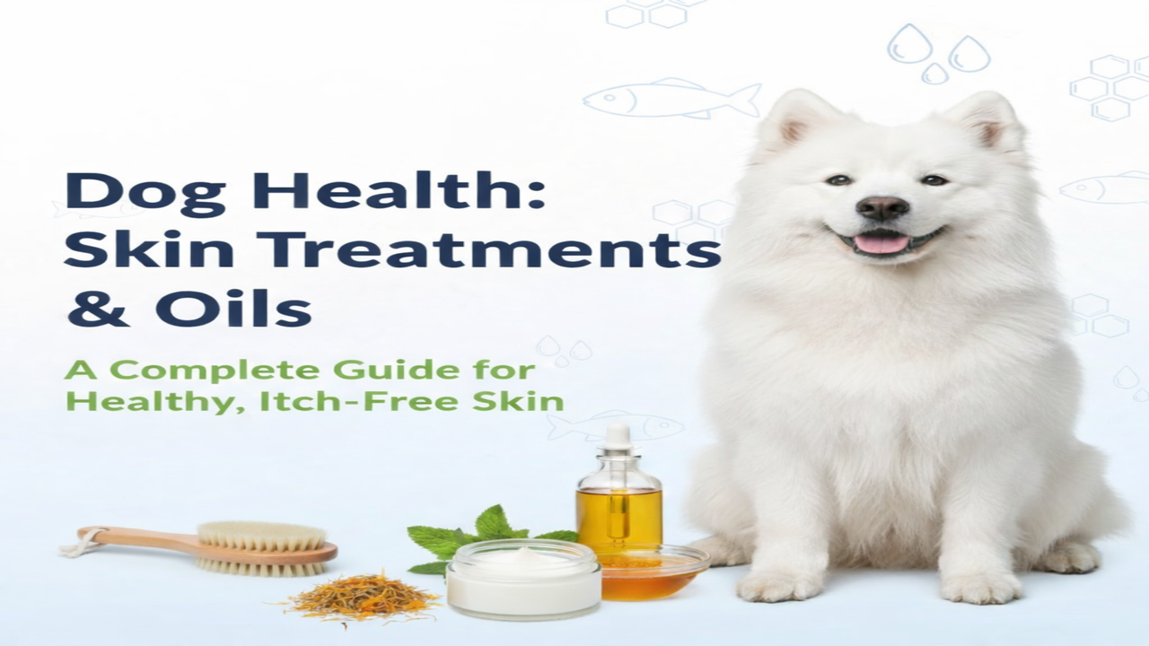 Dog Health: Skin Treatments & Oils – A Complete Guide for Healthy, Itch-Free Skin Dog Health: Skin Treatments & Oils – A Complete Guide for Healthy, Itch-Free Skin