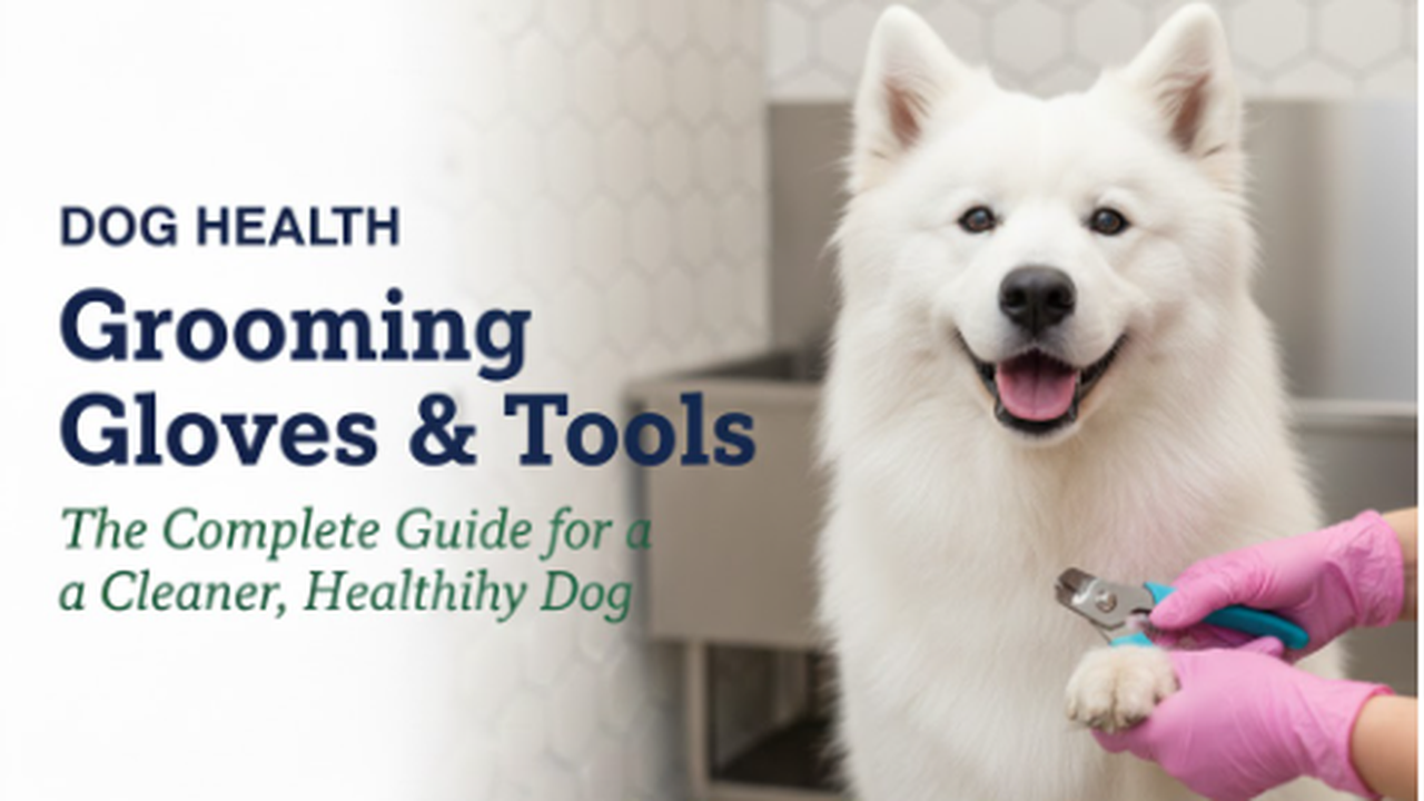 Dog Health: Grooming Gloves & Tools – The Complete Guide for a Cleaner, Healthier Dog Dog Health: Grooming Gloves & Tools – The Complete Guide for a Cleaner, Healthier Dog