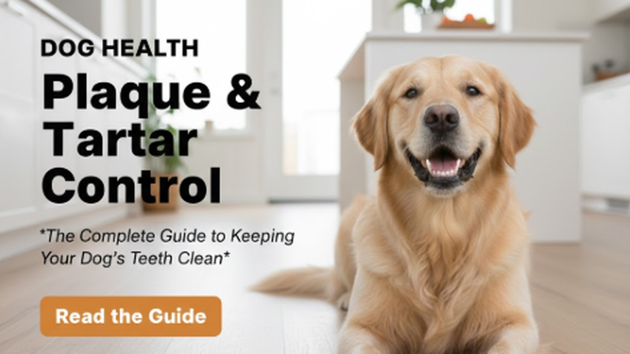 Dog Health: Plaque & Tartar Control – The Complete Guide to Keeping Your Dog’s Teeth Clean Dog Health: Plaque & Tartar Control – The Complete Guide to Keeping Your Dog’s Teeth Clean