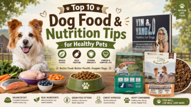 Top 10 Dog Food & Nutrition Tips for Healthy Pets