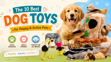 The 10 Best Dog Toys for Happy & Active Pets