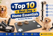 Top 10 Best Dog Home Essentials for Every Pet Owner