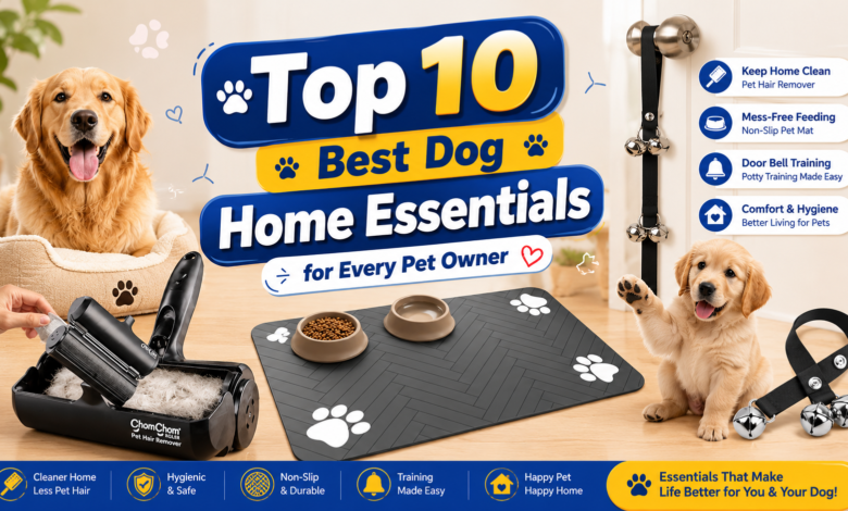 Top 10 Best Dog Home Essentials for Every Pet Owner
