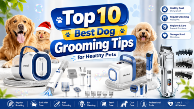 Top 10 Best Dog Grooming Tips for Healthy Pets