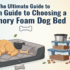 Best Orthopedic Dog Beds to Relieve Joint Pain and Improve Sleep