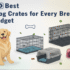 Best Dog Crates for Medium Dogs: Safe, Spacious, and Stylish Options