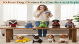 10 Best Dog Clothes for Comfort and Style
