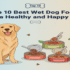 Top 10 Best Dog Foods for Every Breed and Age