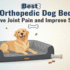 The Ultimate Guide to Choosing a Memory Foam Dog Bed