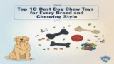 Top 10 Best Dog Chew Toys for Every Breed and Chewing Style