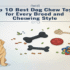Top 10 Best Dog Food and Water Mats to Keep Your Floors Clean and Dry