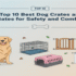 Top 10 Best Big Dog Crates for Comfort and Safety