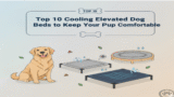 Top Cooling Elevated Dog Beds to Keep Your Pup Comfortable