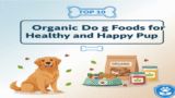 Top 10 Organic Dog Foods for a Healthy and Happy Pup