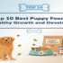 Dog Health: Essential Tips for a Happy, Healthy Pet