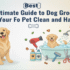 Healthy Dog Food Options Every Pet Owner Should Know