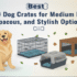 Top 10 Best Dog Crates for Every Breed and Budget