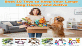 Best 10 Toys to Keep Your Large Dog Happy and Active