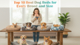 Top 10 Best Dog Beds for Every Breed and Size