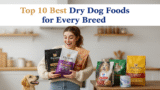Top 10 Best Dry Dog Foods for Every Breed