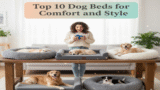 Top 10 Dog Beds for Comfort and Style