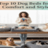 10 Best Dog Clothes for Comfort and Style