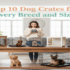 Top 10 Dog Crates Perfect for Medium-Sized Dogs