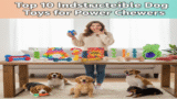 Top 10 Indestructible Dog Toys for Power Chewers