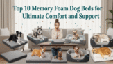 Top 10 Memory Foam Dog Beds for Ultimate Comfort and Support