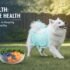 Dog Health: Dog Grooming – The Complete Guide to Keeping Your Dog Clean, Healthy, and Happy