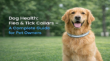 Dog Health: Flea & Tick Collars – A Complete Guide for Pet Owners