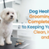 Dog Health: Dog Brushes & Combs – The Complete Guide to Grooming for a Healthier, Happier Dog