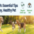 Top 10 Best Puppy Foods for Healthy Growth and Development